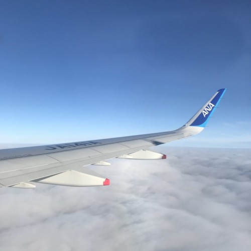 ANAの機内から見た飛行機の翼
