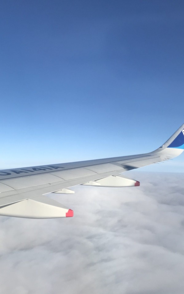 ANAの機内から見た飛行機の翼